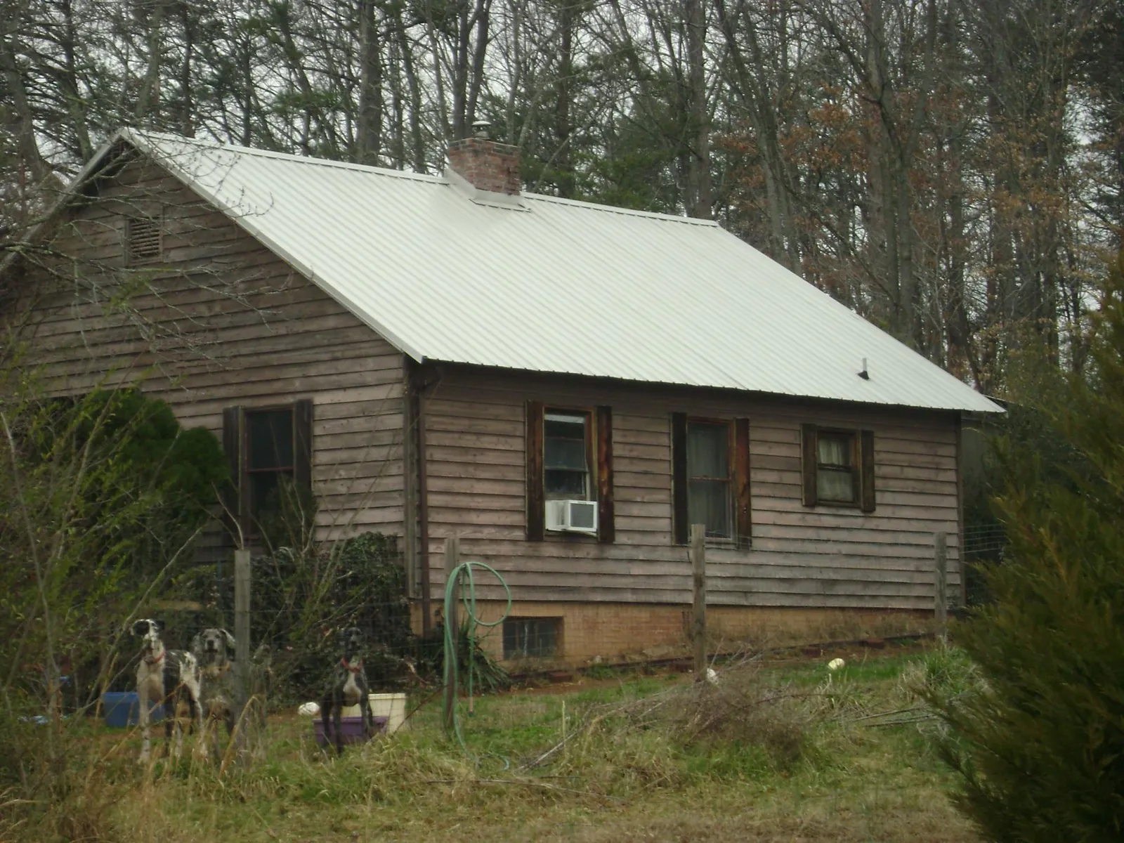 White metal roof on an old wood sided farmhouse, from a Metal Roof Installation job in Cayuga
